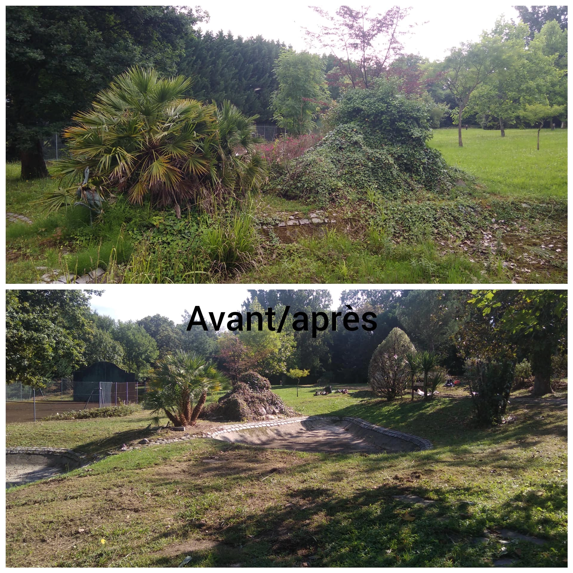 Avant / Après