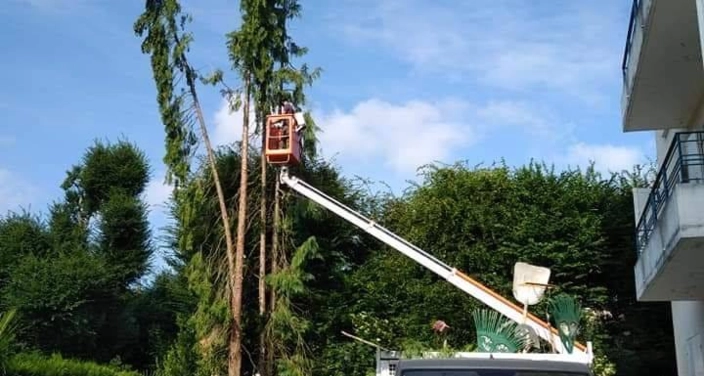 Image d'illustration