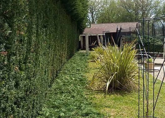 Image d'un entretien de haies